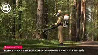 Парки и скверы массово обрабатывают от клещей