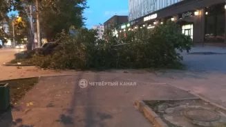 МЧС продлило штормовое предупреждение в регионе, ветер усилится до 25 м/с