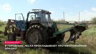 В городских лесах прокладывают противопожарную опашку