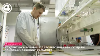 Студенты-сыровары: в лаборатории УрФУ создали "омолаживающий" камамбер