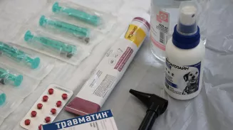 Развитие медицины в регионе