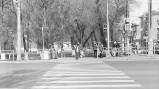 Переход на смертельном перекрестке