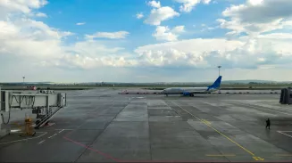 Бросили собаку в аэропорту Бросили собаку в аэропорту