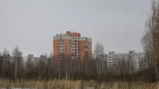 Забрали детей у матери за беспорядок в квартире