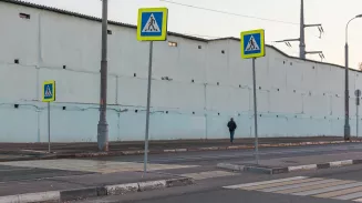 Опасные зебры у школ