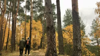 Пешком по области
