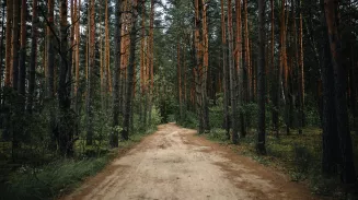 В этом году проект «Прошагай город» – с акцентом на экологическое просвещение