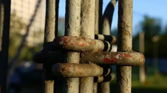 Педагоги Екатеринбурга устроили пикет в поддержку тренера, обвиненного в педофилии Педагоги Екатеринбурга устроили пикет в поддержку тренера, обвиненного в педофилии