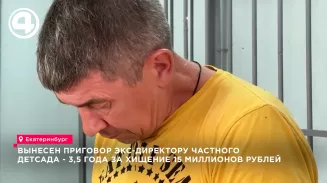 Вынесен приговор экс-директору частного детсада - 3,5 года за хищение 15 млн рублей