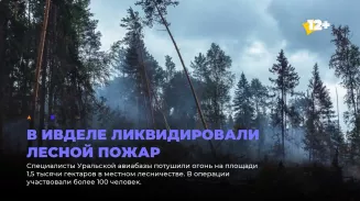 В Ивделе ликвидировали лесной пожар