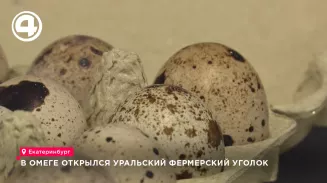 В Омеге открылся Уральский Фермерский уголок В Омеге открылся Уральский Фермерский уголок