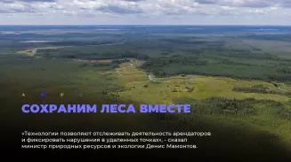 Объем незаконных рубок в лесах Свердловской области снизился на треть Объем незаконных рубок в лесах Свердловской области снизился на треть