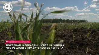 Свердловская область завершает посевную на 98% и запускает проект для медиков Свердловская область завершает посевную на 98% и запускает проект для медиков