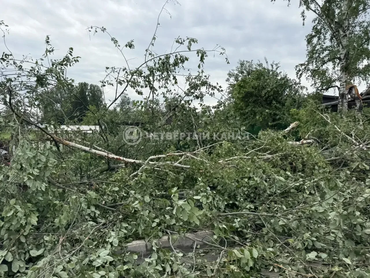 На Свердловскую область надвигаются сильные ливни и шквалистый ветер На Свердловскую область надвигаются сильные ливни и шквалистый ветер
