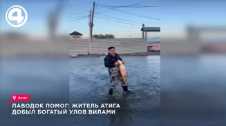 После ливней житель Атига устроил необычную рыбалку с вилами