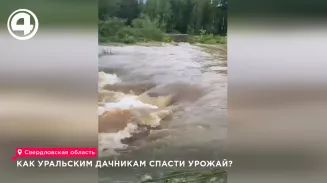Уральские дачники подсчитывают убытки после паводков и проливных дождей Уральские дачники подсчитывают убытки после паводков и проливных дождей