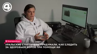 Выпускники УрФУ создали систему на базе ИИ для распознавания хромоты у коров
