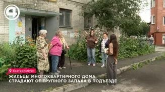 В одном из домов Екатеринбурга 10 дней пролежало тело 63-летнего мужчины В одном из домов Екатеринбурга 10 дней пролежало тело 63-летнего мужчины
