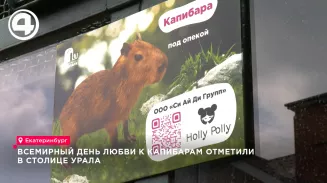 Капибарин из зоопарка Екатеринбурга ждёт невесту и готовится встретить праздник