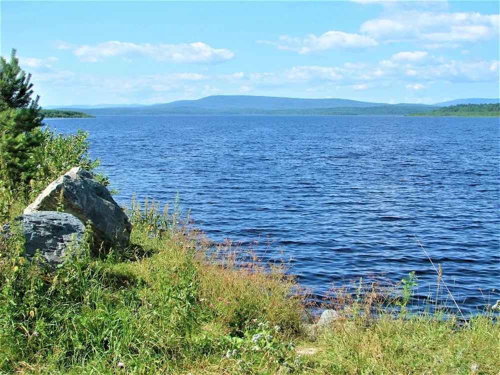 Купаться в Леневском водохранилище разрешил Роспотребнадзор Купаться в Леневском водохранилище разрешил Роспотребнадзор