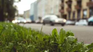 За парковку на газоне в центре Екатеринбурга каршеринг получил штраф За парковку на газоне в центре Екатеринбурга каршеринг получил штраф