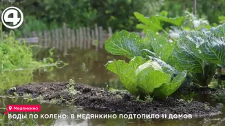 Свердловскую область топит паводок Свердловскую область топит паводок