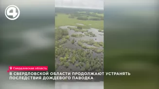 Вода уходит, но мост держит удар Вода уходит, но мост держит удар