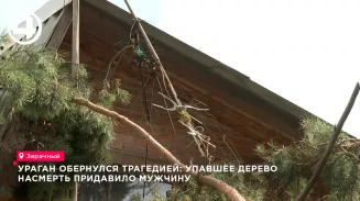 Ураган в Заречном убил дачника