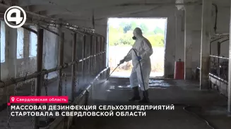 Свердловские фермы обеззараживают после паводка Свердловские фермы обеззараживают после паводка