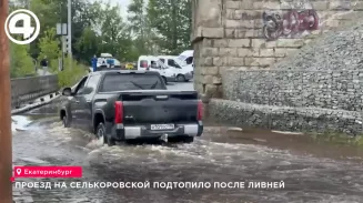 За первые дни августа в Екатеринбурге выпало 65 мм осадков — 86% месячной нормы За первые дни августа в Екатеринбурге выпало 65 мм осадков — 86% месячной нормы