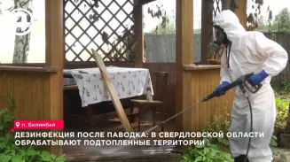 В Билимбае специалисты начали дезинфицировать территории, пострадавшие от летнего паводка В Билимбае специалисты начали дезинфицировать территории, пострадавшие от летнего паводка