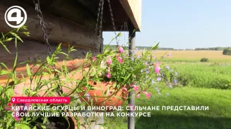 Дачники из четырёх сёл Свердловской области поборолись за звание лучшей усадьбы Дачники из четырёх сёл Свердловской области поборолись за звание лучшей усадьбы