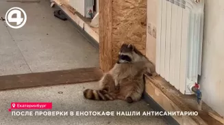 После проверки в енотокафе нашли антисанитарию После проверки в енотокафе нашли антисанитарию