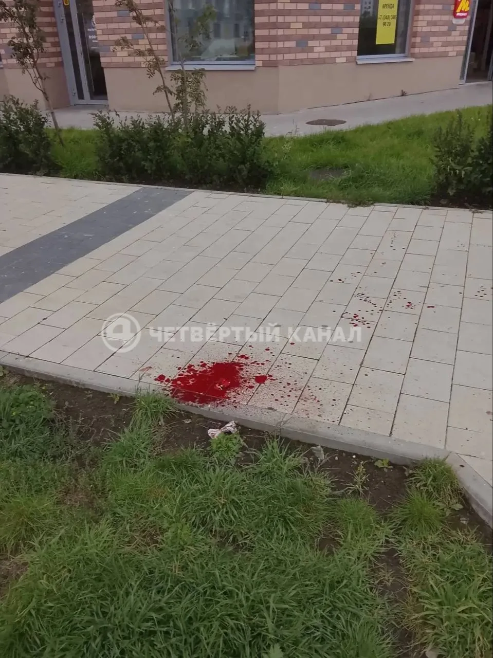 Екатеринбуржец зверски избил курьера за то, что тот сбил его собаку Екатеринбуржец зверски избил курьера за то, что тот сбил его собаку