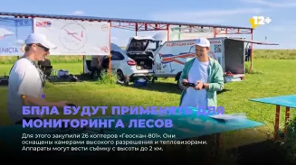 БПЛА будут применять для мониторинга лесов
