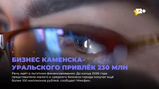 Бизнес Каменска-Уральского привлёк 230 млн