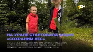 На Урале стартовала акция «Сохраним лес»