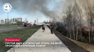 В районе ВИЗ в Екатеринбурге вспыхнула свалка на границе с лесом и повалил густой дым