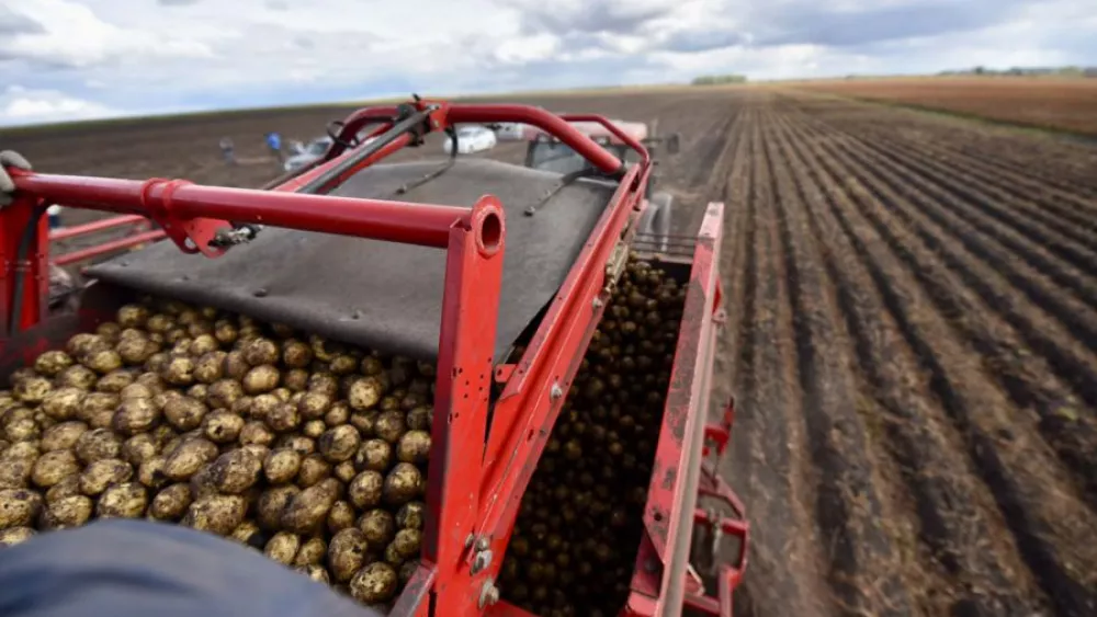 Несмотря на паводки, в Свердловской области не будет дефицита продуктов