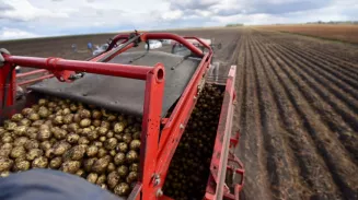 Несмотря на паводки, в Свердловской области не будет дефицита продуктов