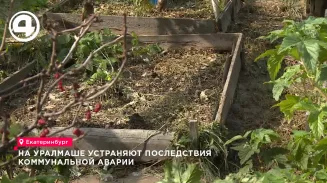Прорыв трубы у строящейся магистрали на Уралмаше затопил кипятком дачи и сады Прорыв трубы у строящейся магистрали на Уралмаше затопил кипятком дачи и сады