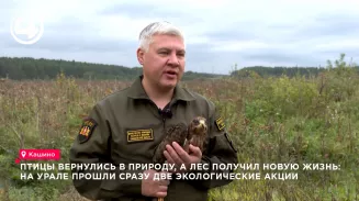 В Свердловской области выпустили трёх краснокнижных птиц и высадили тысячи сосен В Свердловской области выпустили трёх краснокнижных птиц и высадили тысячи сосен