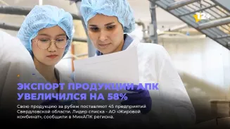 Экспорт продукции АПК увеличился на 58% Экспорт продукции АПК увеличился на 58%