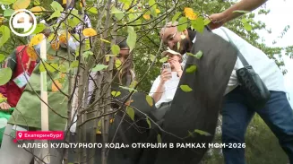 «Аллею культурного кода» открыли в рамках МФМ-2026