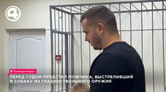 В Верхней Пышме перед судом предстал егерь, застреливший бездомную собаку в СНТ
