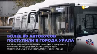 Более 80 автобусов поступили в города Урала Более 80 автобусов поступили в города Урала