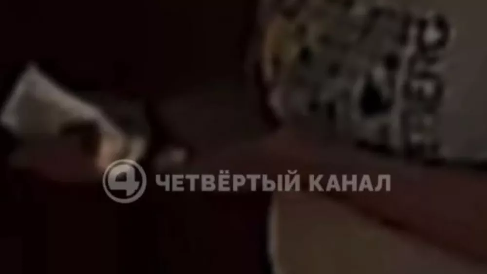 Незнакомка обокрала косметологическую клинику в Екатеринбурге, представившись силовиком
