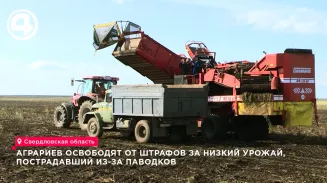 Паслер ввёл режим ЧС на сельхозземлях в 37 муниципалитетах Свердловской области Паслер ввёл режим ЧС на сельхозземлях в 37 муниципалитетах Свердловской области