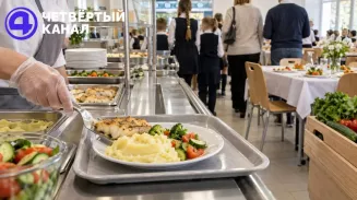 Дегустация для родителей и «интересная» подача рыбы: в департаменте образования рассказали, как борются с отказами от питания в столовых Дегустация для родителей и «интересная» подача рыбы: в департаменте образования рассказали, как борются с отказами от питания в столовых