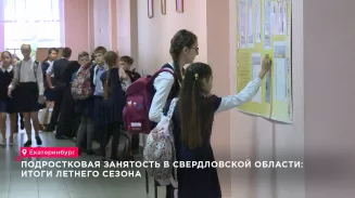 На Среднем Урале этим летом пятеро подростков не смогли получить зарплату за подработку На Среднем Урале этим летом пятеро подростков не смогли получить зарплату за подработку